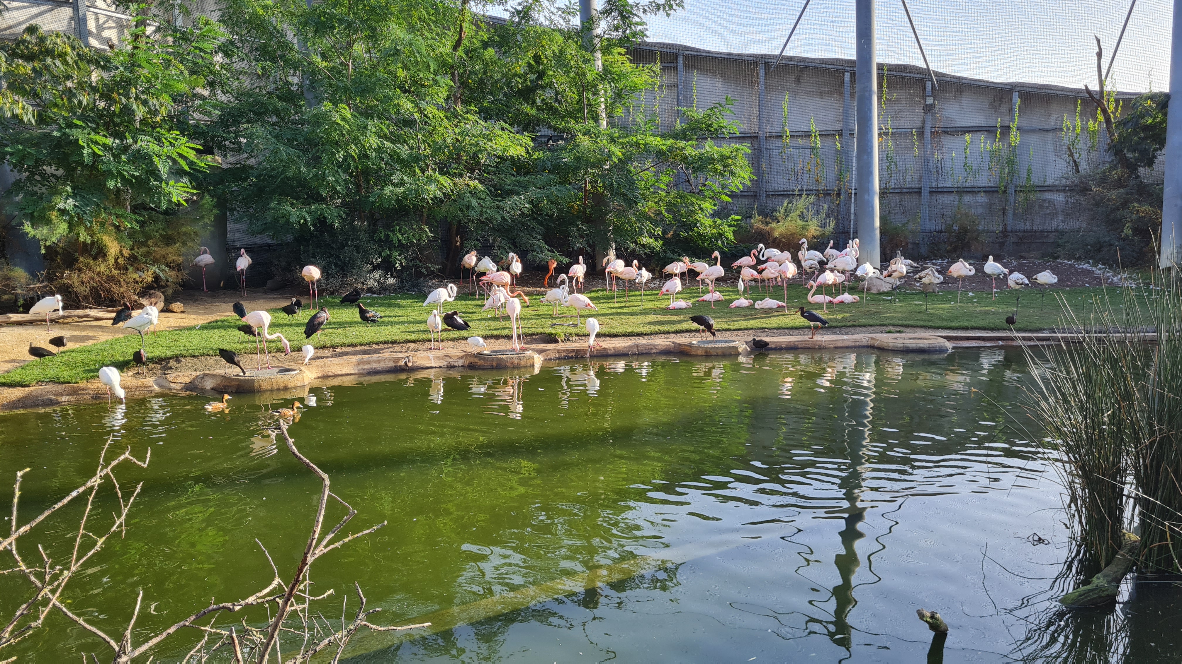 Photo n° 2 de l'avis de Thierry.u fait le 14/10/2023 à 18:57