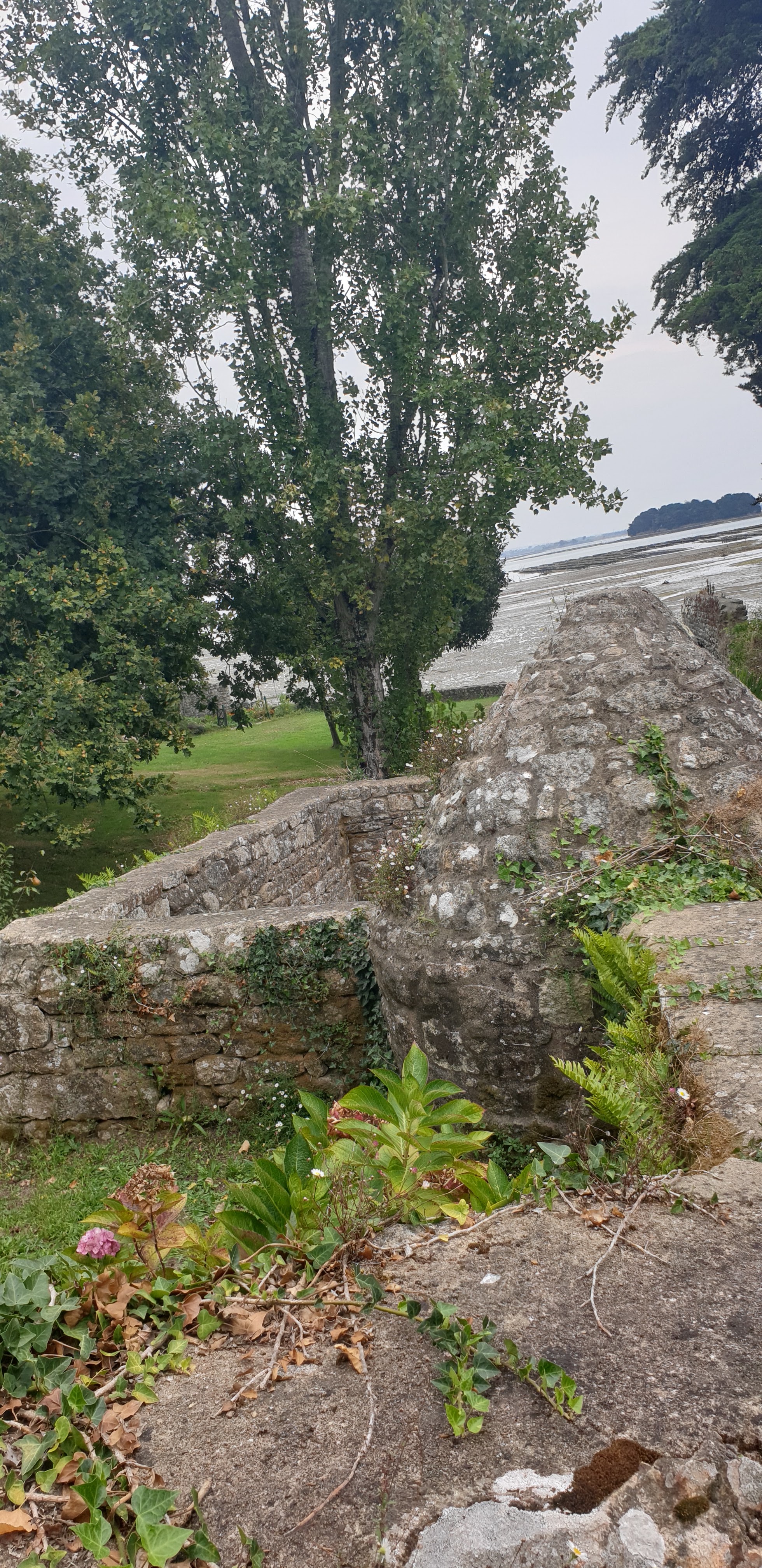 Photo n° 8 de l'avis de Olivier.o fait le 18/09/2020 à 17:22