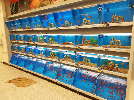 Pet Supply Store «PetSmart», reviews and photos, 2925 Lancaster Dr NE, Salem, OR 97305, USA