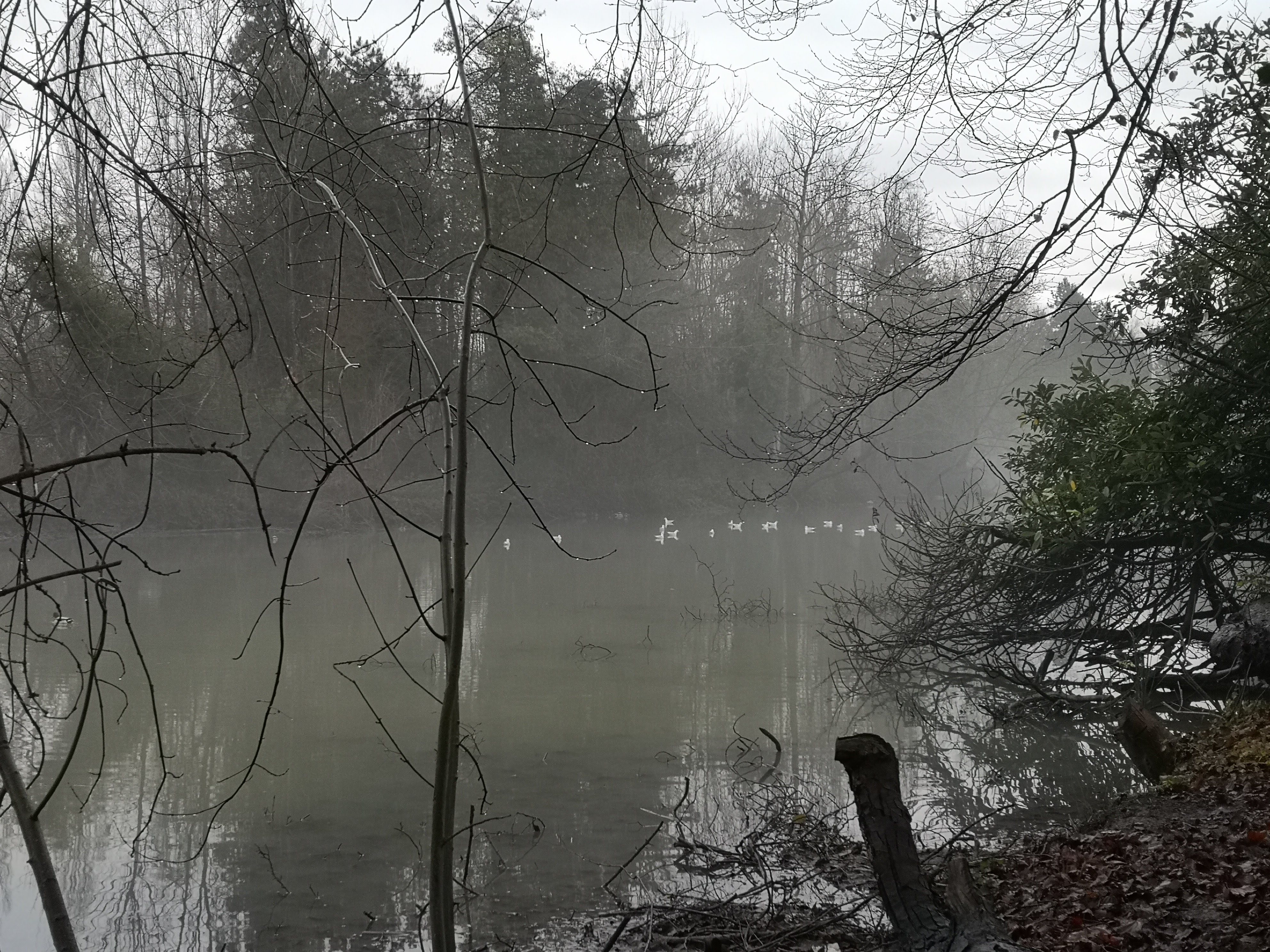 Photo n° 1 de l'avis de Lecomte.n fait le 04/09/2017 à 17:52