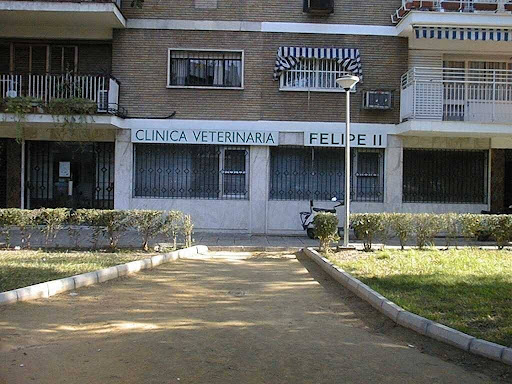 Clinica Veterinaria Felipe Ii