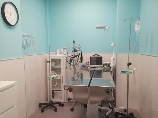 Santander Clínica Veterinaria en Santander