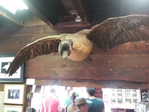 Farm «Russell Orchards», reviews and photos, 143 Argilla Rd, Ipswich, MA 01938, USA