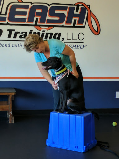 Dog Trainer «Off Leash K9 Training, Charlottesville», reviews and photos, 8782 Seminole Trail, Ruckersville, VA 22968, USA
