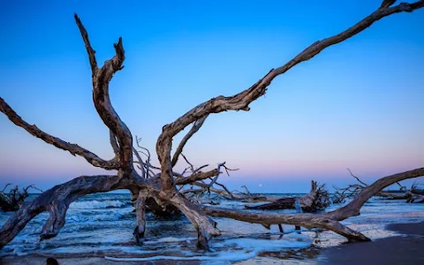 Big Talbot Island State Park image