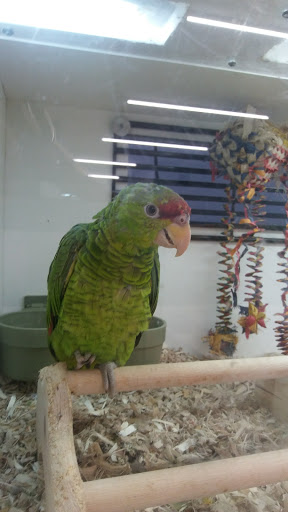 Pet Store «Fins Feathers Paws Claws», reviews and photos, 201 Station Rd, Quakertown, PA 18951, USA