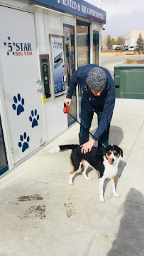 5 Star Car Wash & Dog Wash - Photo 4 - Car repair in Colorado Springs, CO, Colorado Springs