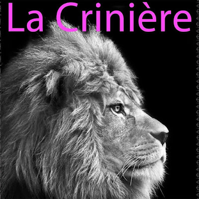 Salon de coiffure La Crinière à Grez-Neuville