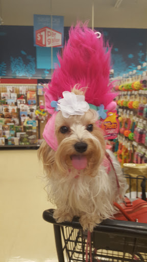 Pet Supply Store «Petco Animal Supplies», reviews and photos, 2450 Monarch Dr #105, Laredo, TX 78045, USA