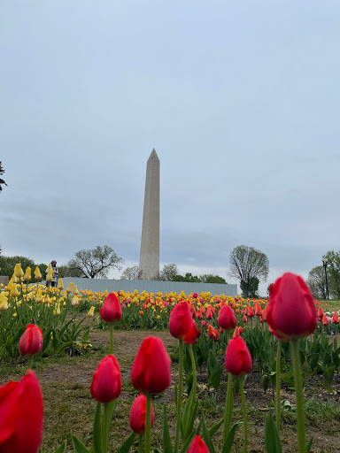 Monument «Lincoln Memorial», reviews and photos, 2 Lincoln Memorial Cir NW, Washington, DC 20037, USA