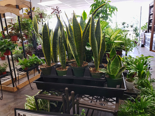 Gift Shop «Blue Hills Nursery & Gift Shop», reviews and photos, 16440 Whittier Blvd, Whittier, CA 90603, USA