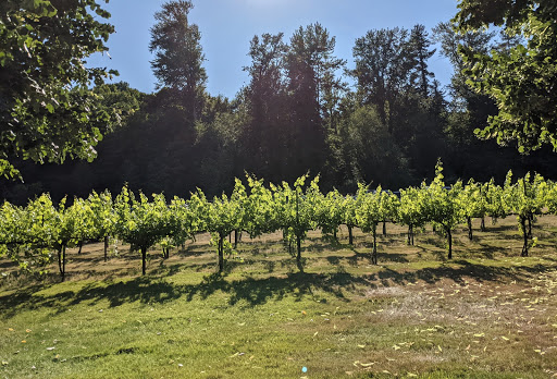 Winery «Chateau Ste. Michelle Winery», reviews and photos, 14111 NE 145th St, Woodinville, WA 98072, USA