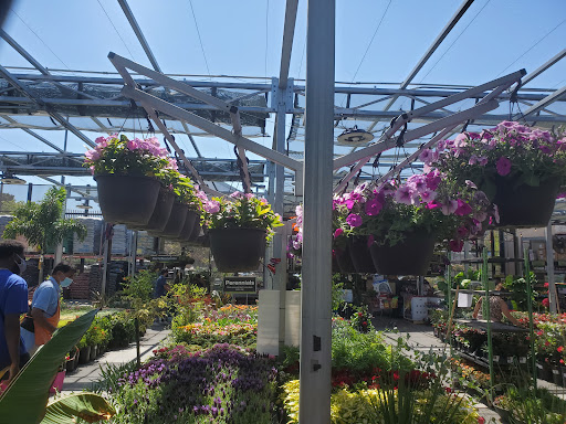 Home Improvement Store «The Home Depot», reviews and photos, 2055 N Figueroa St, Los Angeles, CA 90065, USA