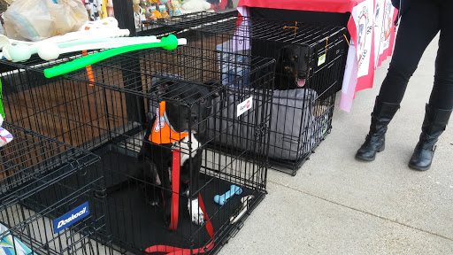 Pet Supply Store «Pet Supermarket», reviews and photos, 1112 N Fielder Rd, Arlington, TX 76012, USA