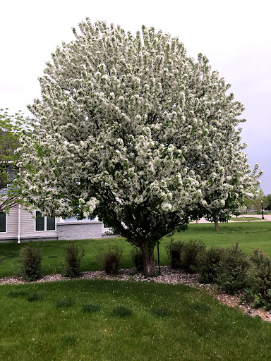 Hardware Store «Hardware Hank», reviews and photos, 1017 Central Ave NW, East Grand Forks, MN 56721, USA