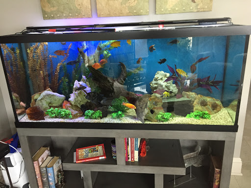 Pet Store «Fish Bowl Aquarium & Pet Mart», reviews and photos, 725 Providence St, West Warwick, RI 02893, USA