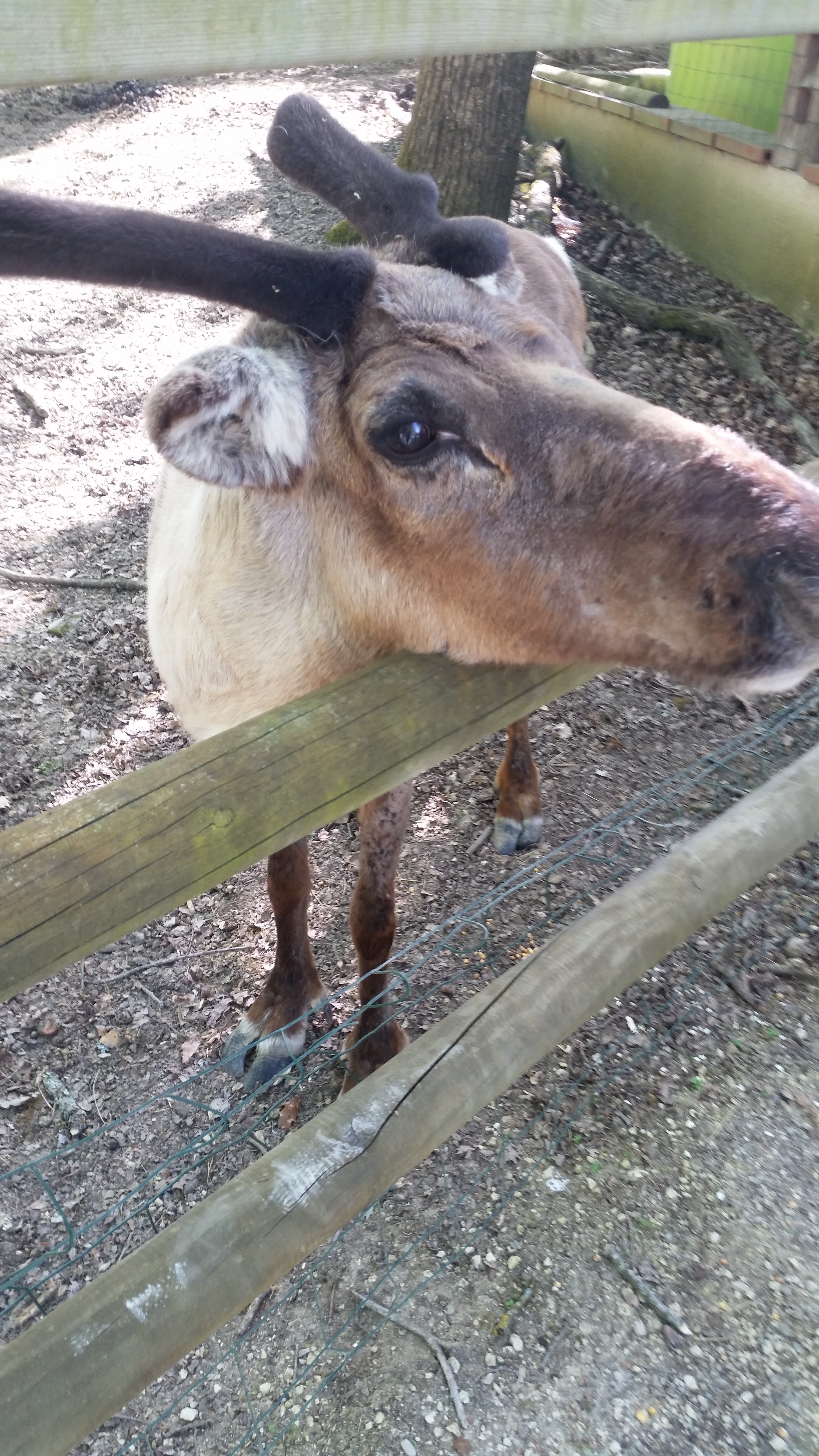 Photo n° 1 de l'avis de Celine.i fait le 12/05/2018 à 09:35