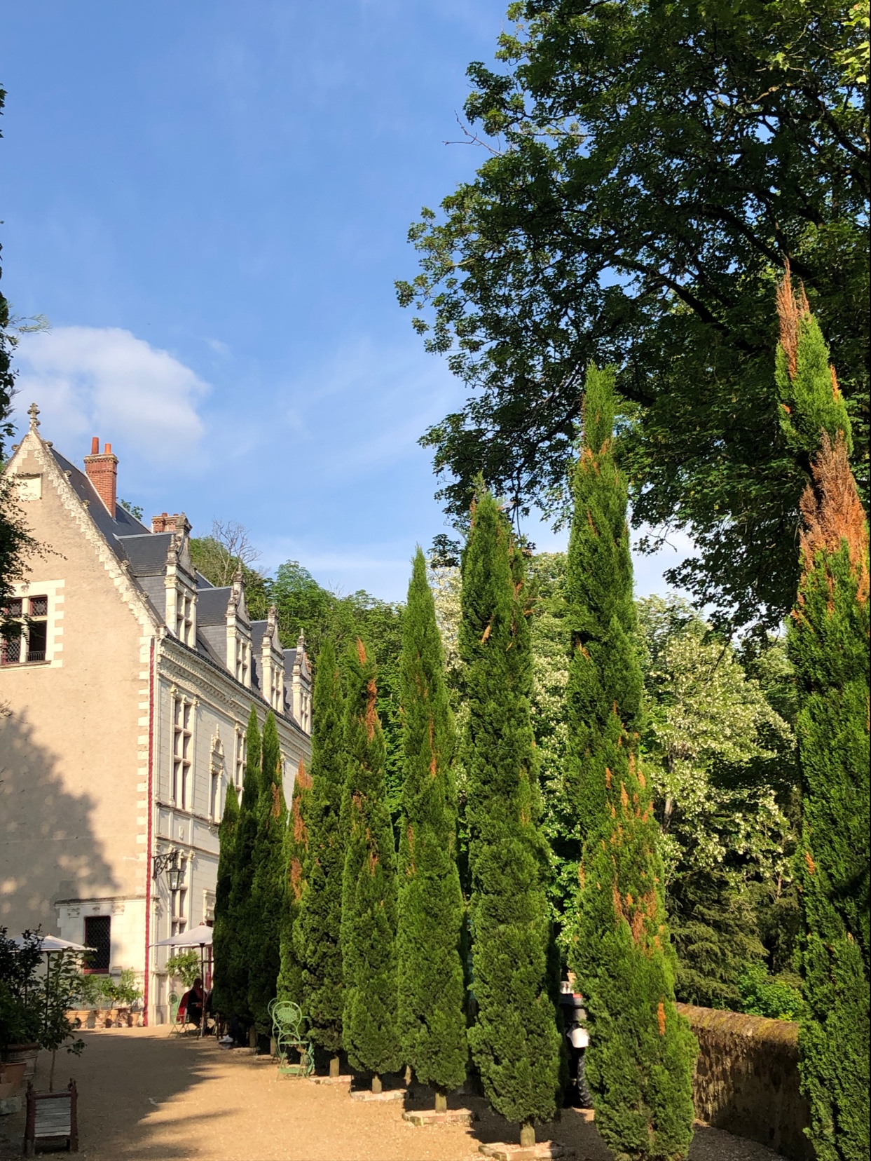 Photo n° 1 de l'avis de Louise.v fait le 05/06/2023 à 20:40