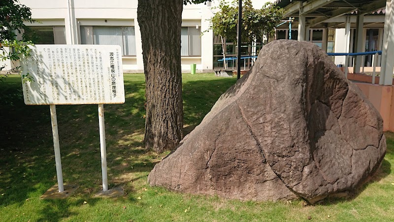 波志江権現山の磨崖種子