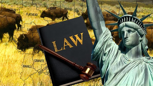 Attorney «Immigration Law of Montana, P.C.», reviews and photos