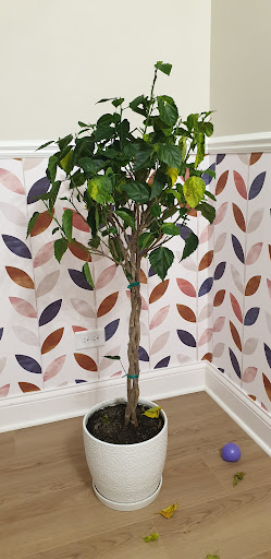 Hardware Store «Douglas Ace Home Center», reviews and photos, 1212 S Naper Blvd #117, Naperville, IL 60540, USA