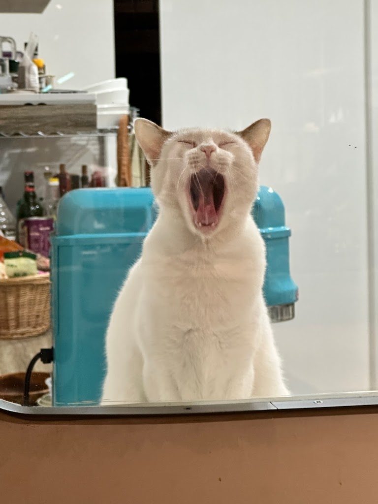 三萩茶會｜宜蘭渡假人文會所、主理人喫茶服務、在地特色伴手禮、日本式經營風格 的照片