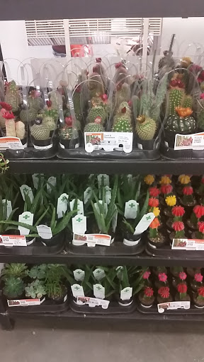 Home Improvement Store «The Home Depot», reviews and photos, 2801 James Sanders Blvd, Paducah, KY 42001, USA