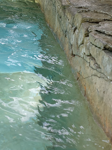 Water Park «Soaring Eagle Waterpark and Hotel», reviews and photos, 5665 E Pickard Rd, Mt Pleasant, MI 48858, USA