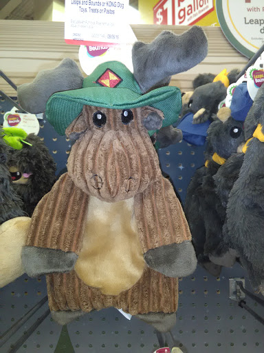 Pet Supply Store «Petco Animal Supplies», reviews and photos, 1 US-46, Totowa, NJ 07512, USA