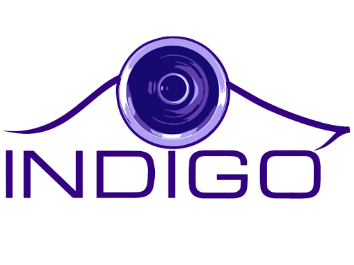 Indigo Projectors in Mission, Texas