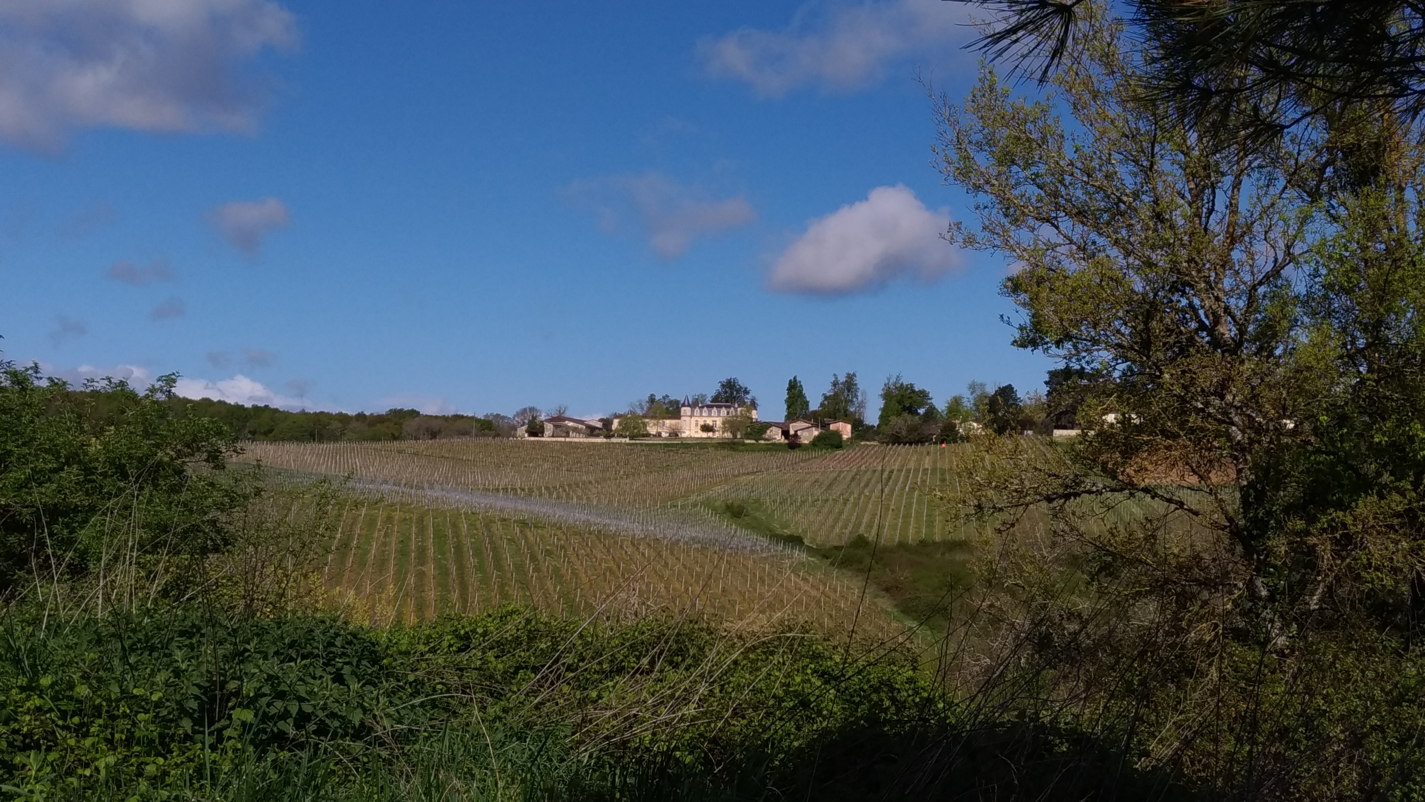 Photo n° 1 de l'avis de Philippe.o fait le 04/04/2019 à 04:22