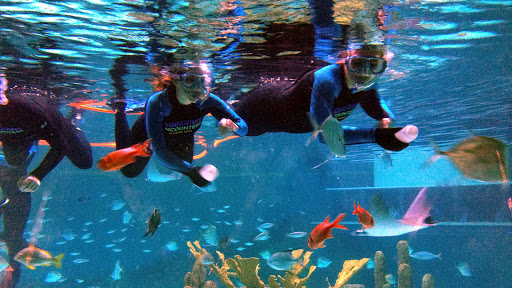 Aquarium «Florida Keys Aquarium Encounters», reviews and photos, 11710 Overseas Hwy, Marathon, FL 33050, USA