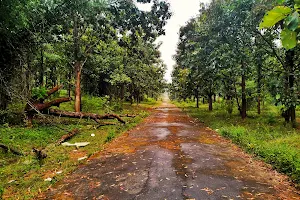 B M Kaval Aagara Forest image