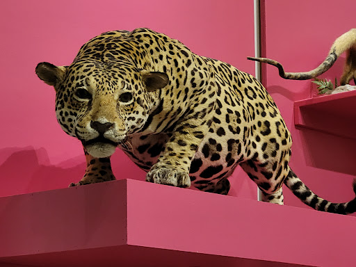 Museum «New Jersey State Museum», reviews and photos, 205 W State St, Trenton, NJ 08608, USA