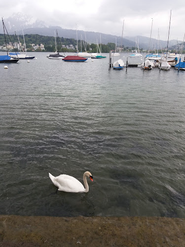 Yacht-Club Luzern - Luzern