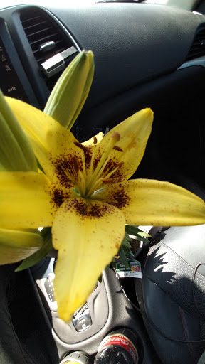 Department Store «Walmart Supercenter», reviews and photos, 2151 W Oaklawn Rd, Pleasanton, TX 78064, USA