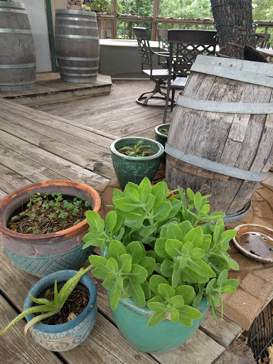 Winery «Brushy Creek Vineyards», reviews and photos, 572 Co Rd 2798, Alvord, TX 76225, USA