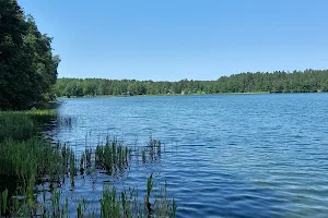 Glūko ežero maudykla image
