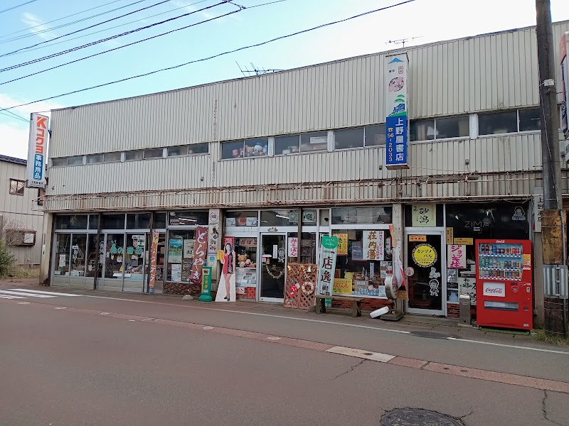 上野屋書店