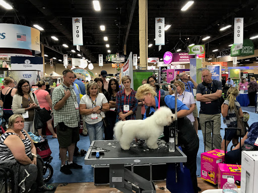 Pet Connection Care Center