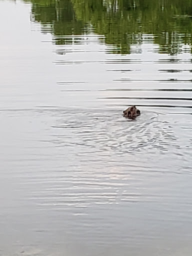 Golf Course «The Falls Golf Course», reviews and photos, 57 Jennie Green Road, Falls of Rough, KY 40119, USA