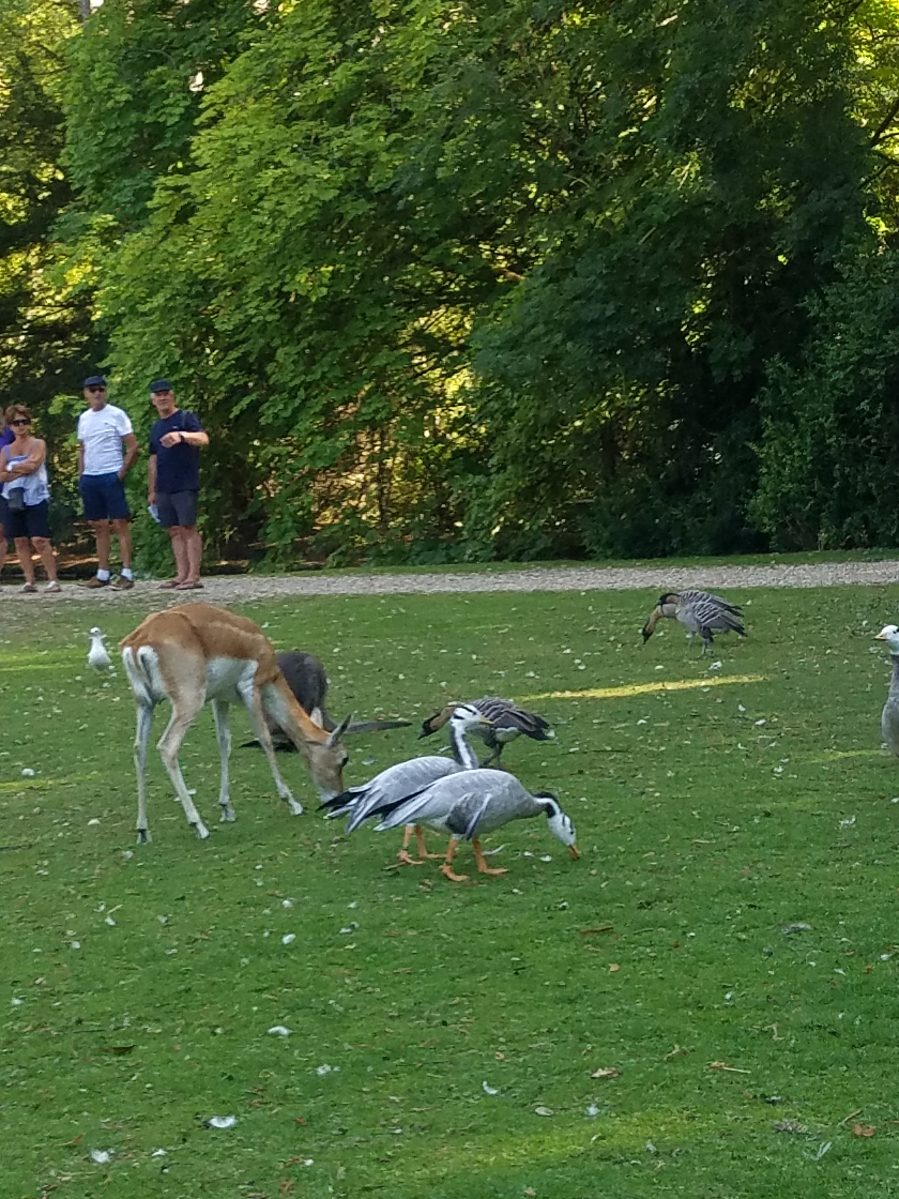 Photo n° 3 de l'avis de Sonia.e fait le 24/08/2019 à 17:42