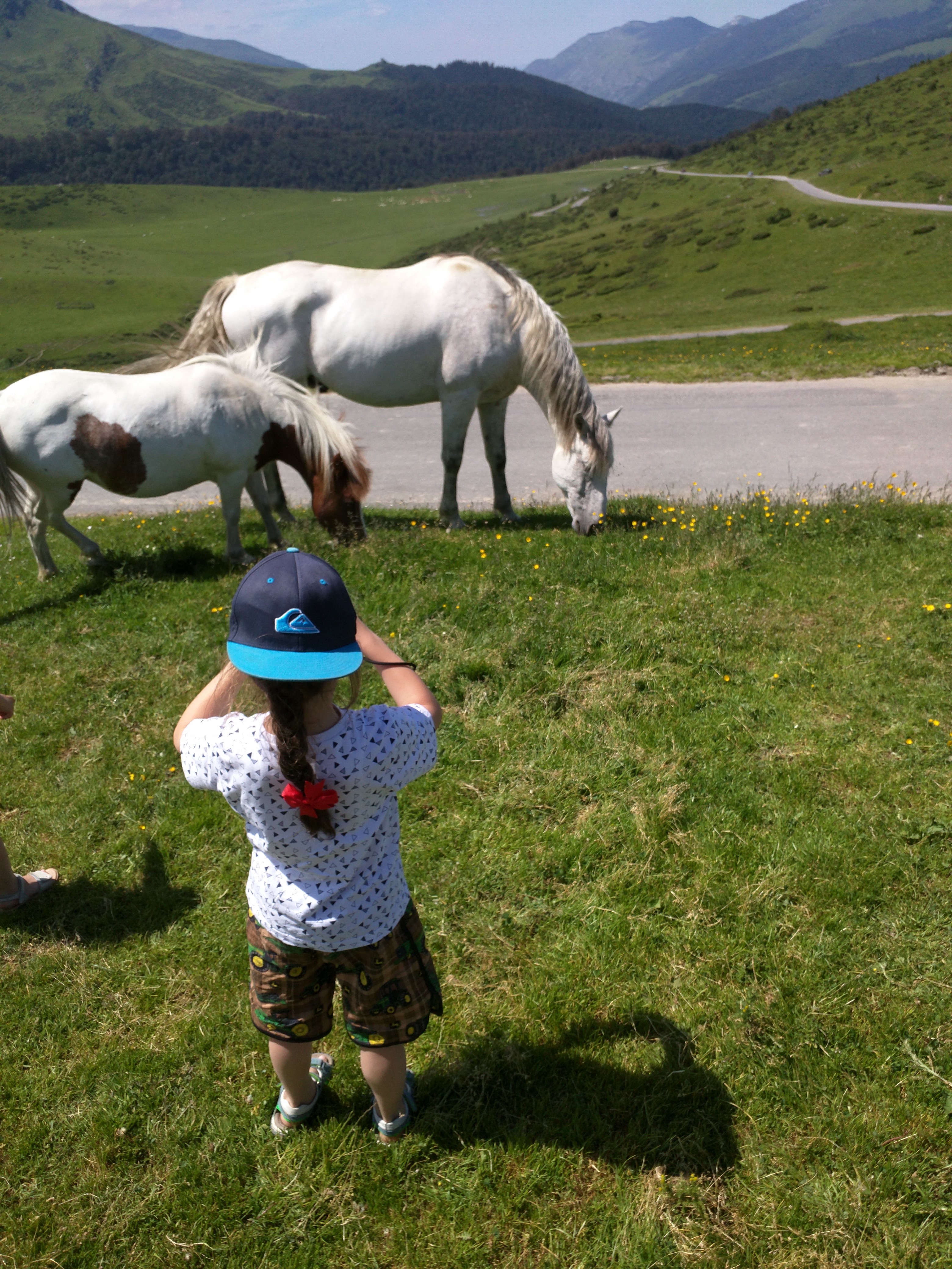 Photo n° 1 de l'avis de Brian.k fait le 13/07/2018 à 18:26