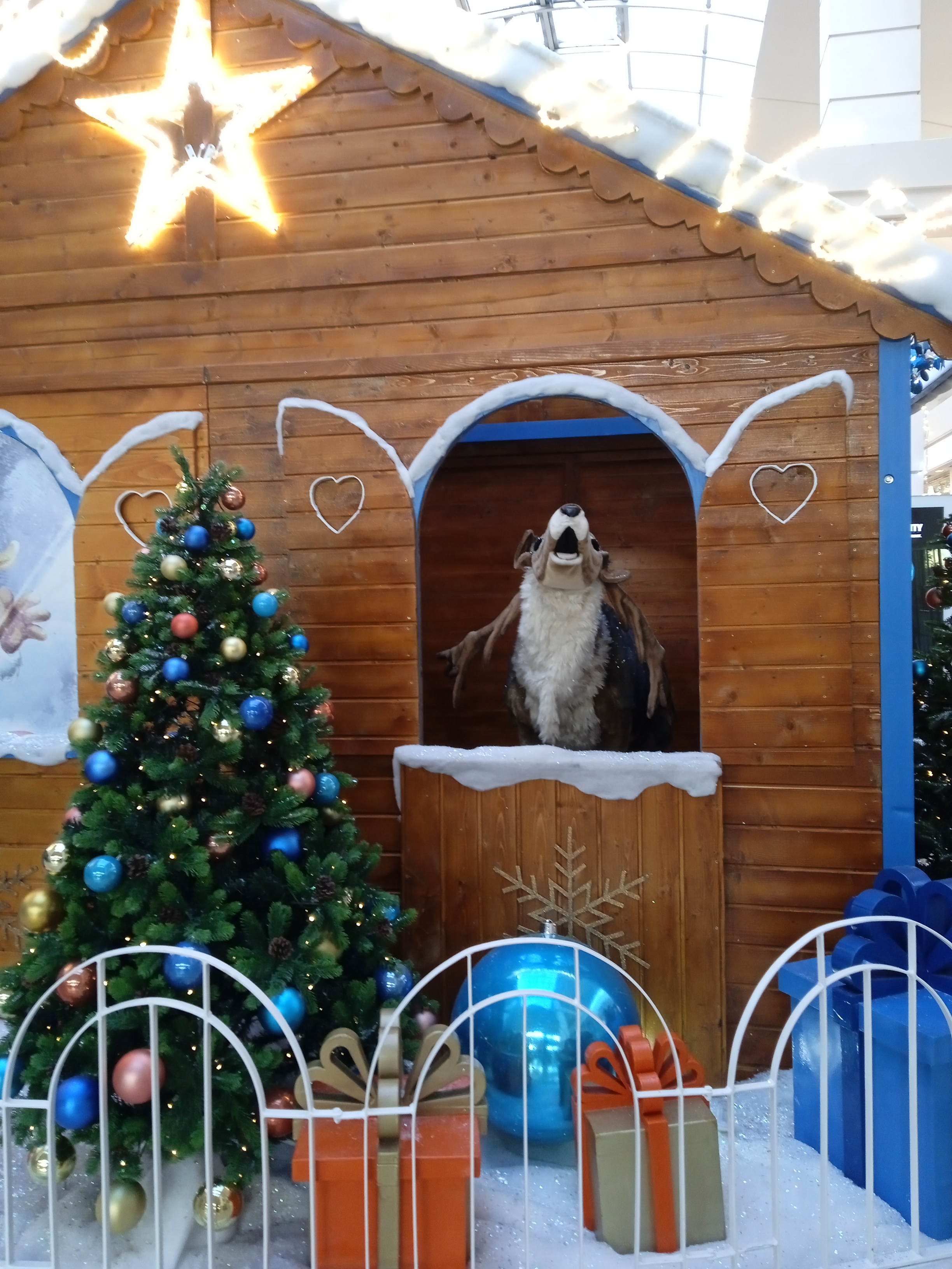 Photo n° 1 de l'avis de helene.a fait le 08/12/2023 à 15:10