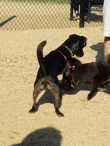 Dog Park «Bay Park Dog Park», reviews and photos, 2 Marjorie Ln, East Rockaway, NY 11518, USA