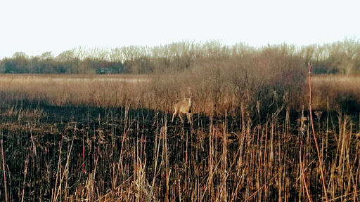 Nature Preserve «Rock Run Preserve - Paul V. Nichols Access», reviews and photos, Essington Rd, Joliet, IL 60435, USA