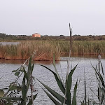 Photo n°9 de l'avis de andrea.a fait le 28/07/2021 à 22:41 sur le  Hotel Rurale Canneviè à Codigoro