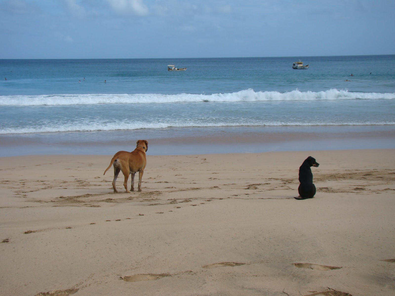 Foto de Playa de Conceição - lugar popular entre los conocedores del relax