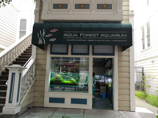 Tropical Fish Store «Aqua Forest Aquarium», reviews and photos, 1718 Fillmore St, San Francisco, CA 94115, USA