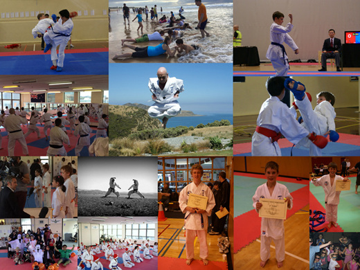 Reviews of Ishinryu Karate NZ in Lower Hutt - Gym